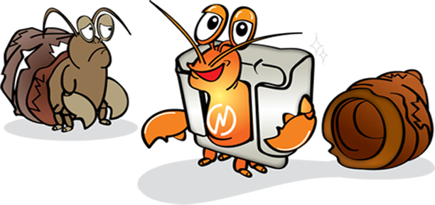 hermit-crab-nakamura